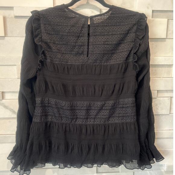 VELVET BY SPENCER & GRAHAM ANTHRO Sheer Lined Ruffle Lace Poet Lng Sleeve Top XS - Picture 2 of 6